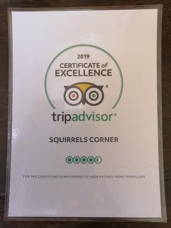 לינה וארוחת בוקר מונטאגו Squirrels Corner מראה חיצוני תמונה
